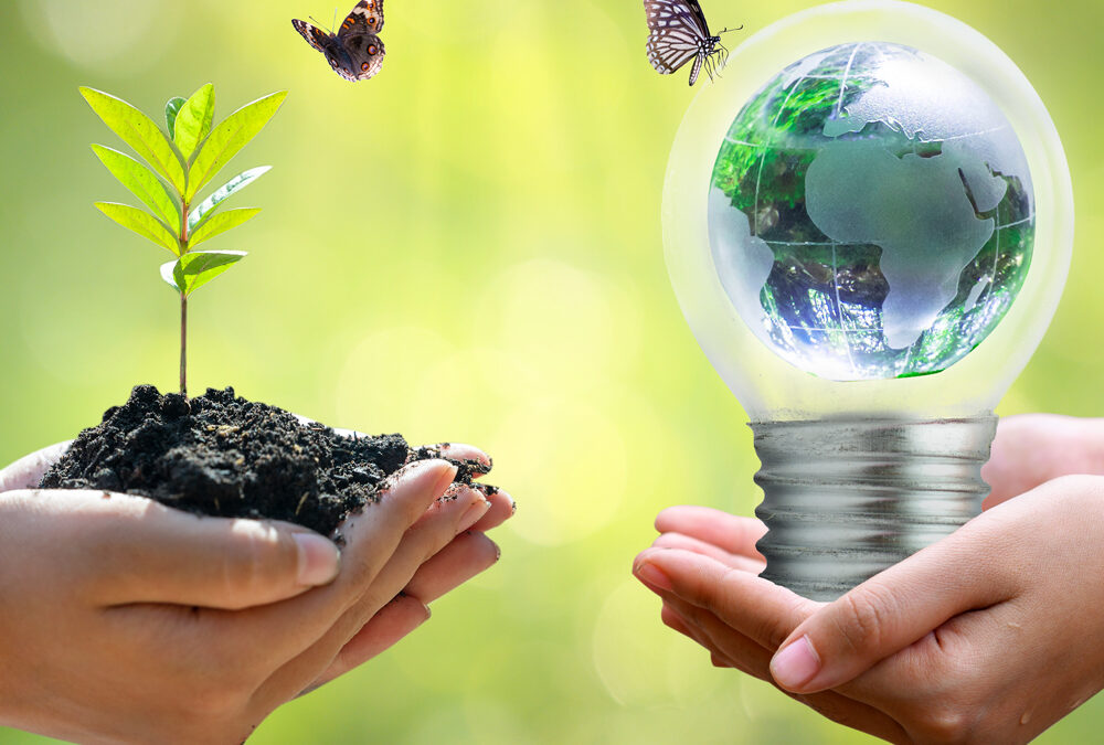 Sistema de iluminación sostenible y eficiente en el consumo energético en las zonas comerciales